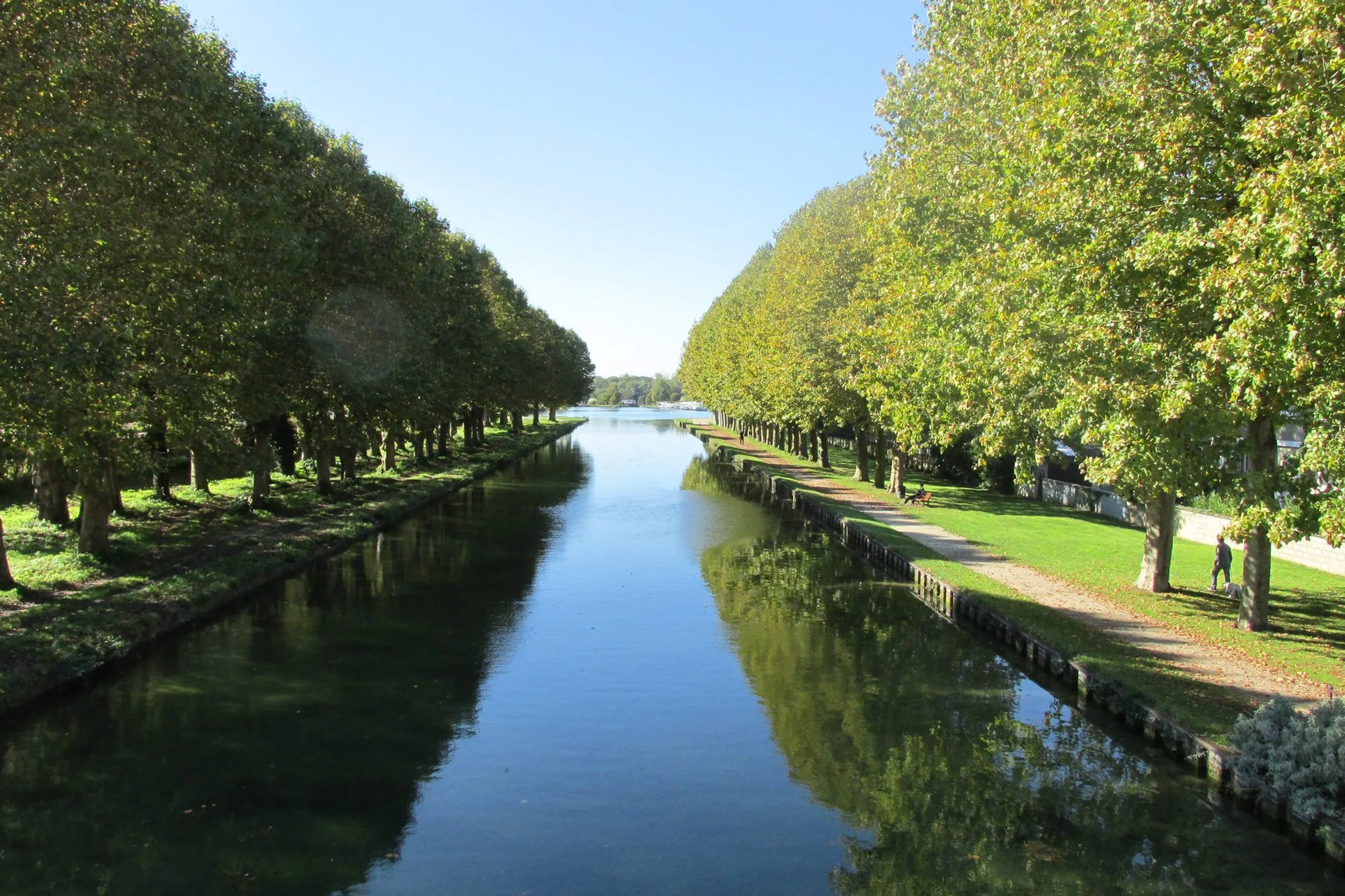 Le canal de Bourgogne et ses alignements de platanes