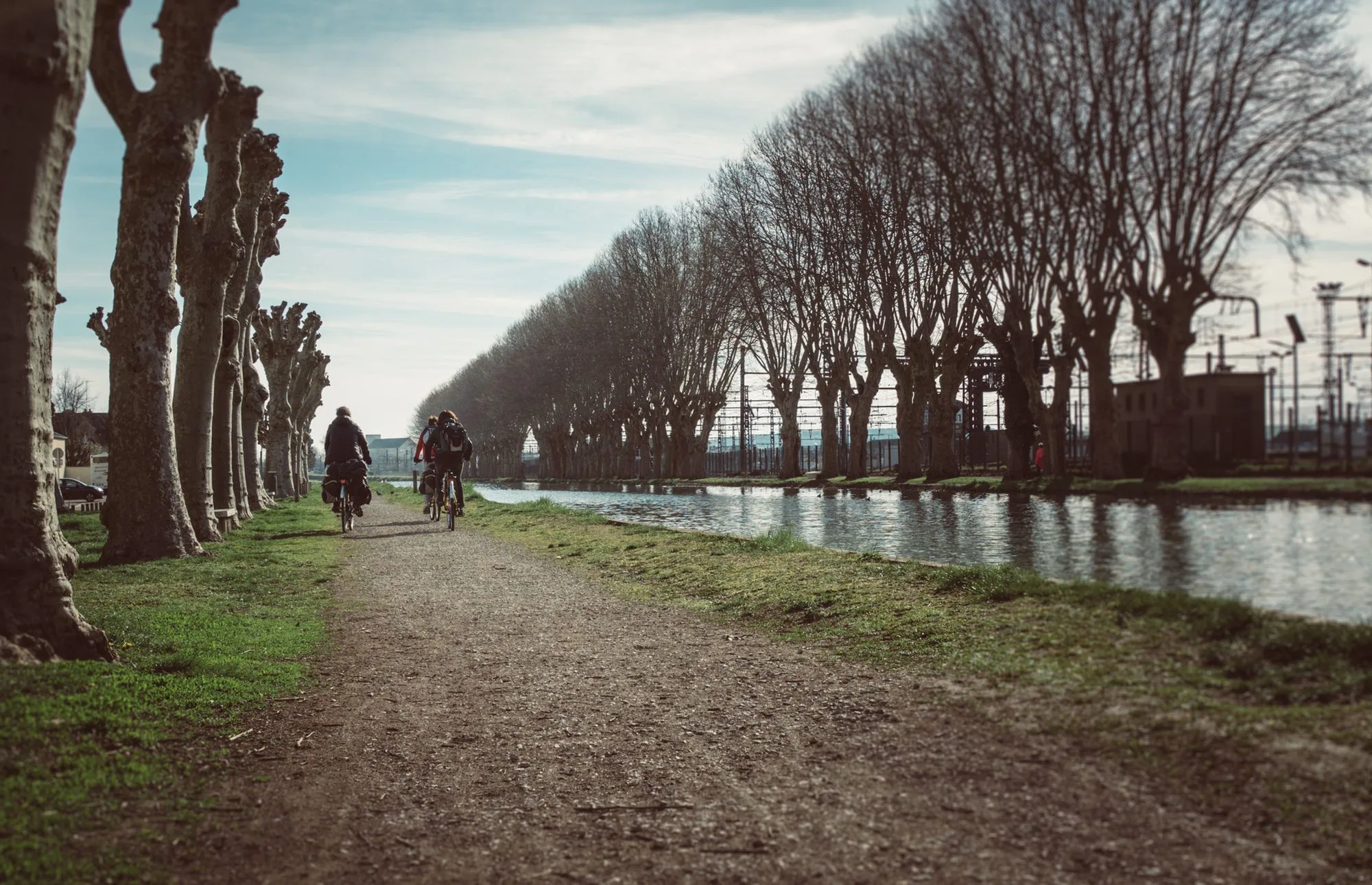 Cyclistes sur le chemin de halage du canal de Bourgogne, entre les platanes