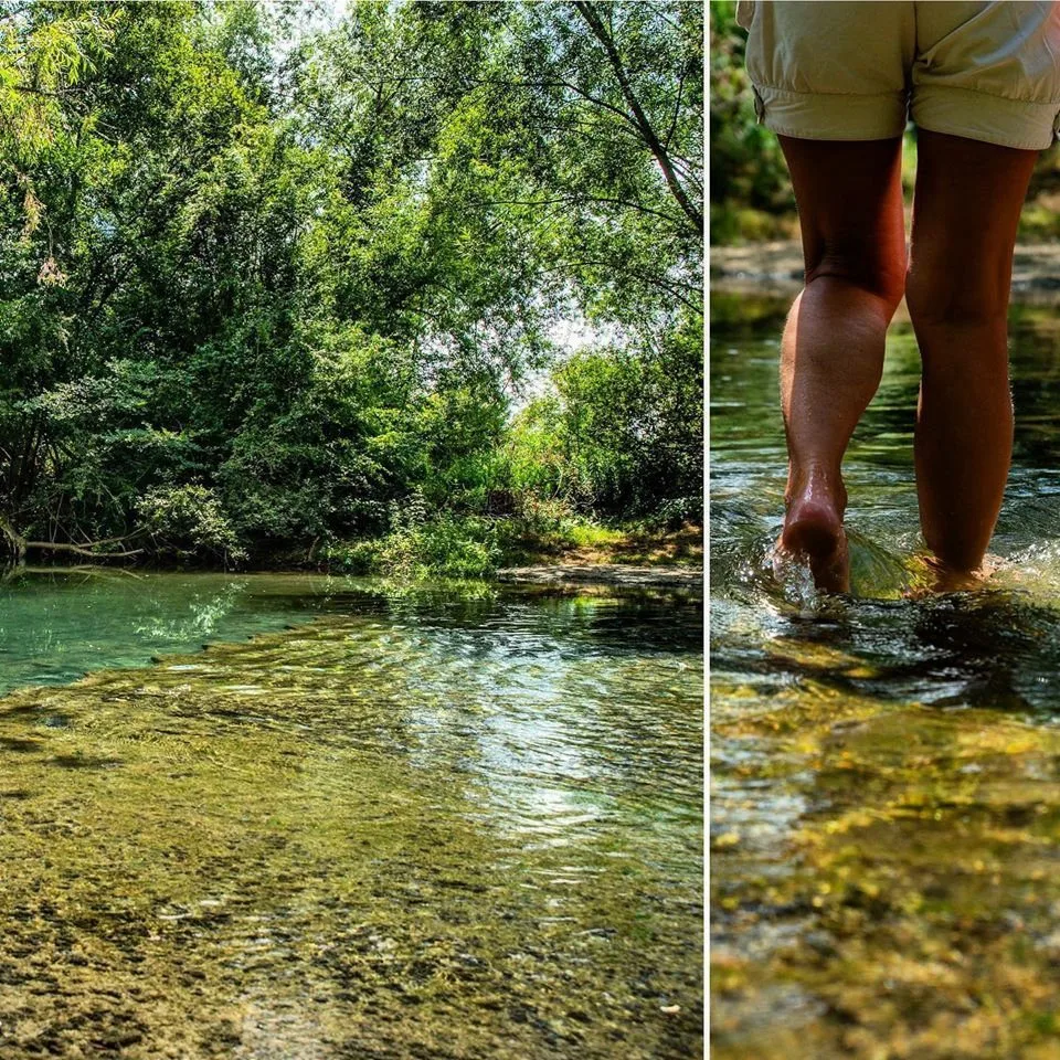 Eaux claires d’une rivière sous les arbres, pieds dans l’eau